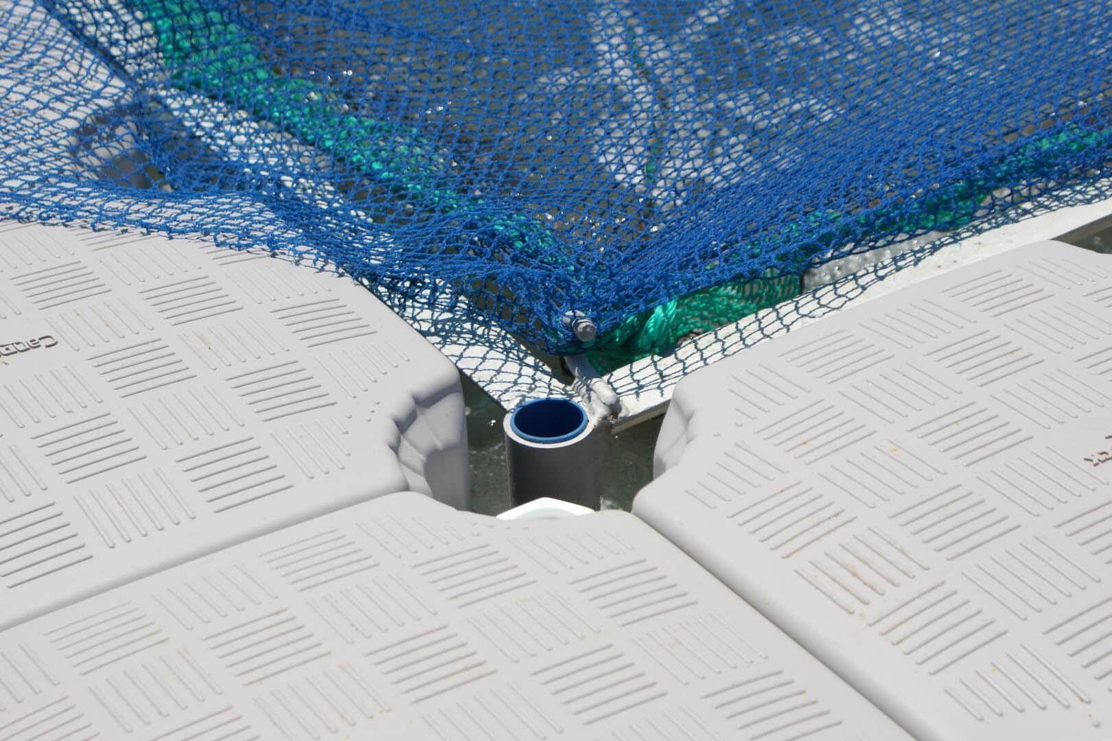 Aquaculture-floating docks - Aquaculture-floating docks - 2