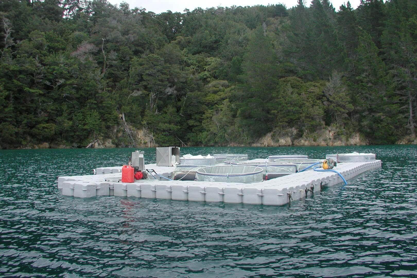 Aquaculture-floating docks - Aquaculture-floating docks - 1