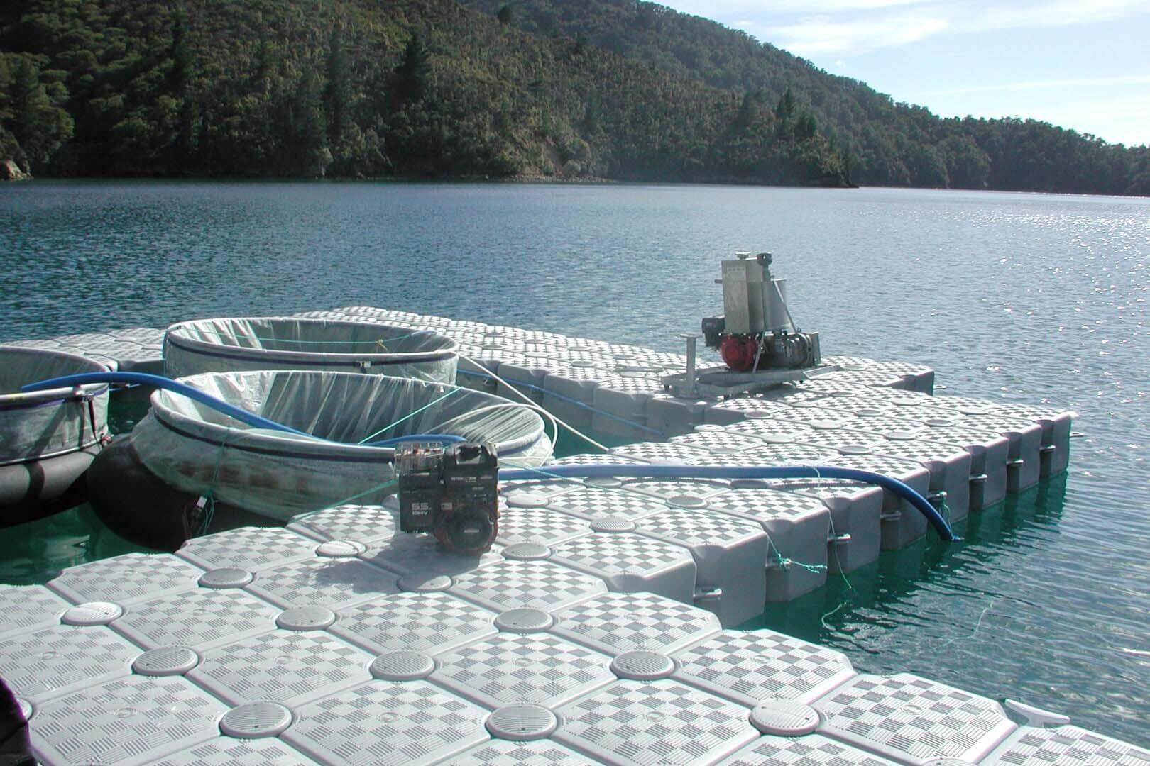 Aquaculture-floating docks - Aquaculture-floating docks - 6