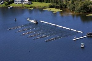 ΚΥΒΟΣ ΣΕΙΡΑΣ ΚΩΠΗΛΑΣΙΑΣ - 2