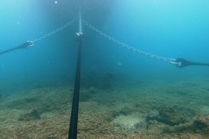 ΕΙΔΙΚΟ ΕΛΑΣΤΙΚΟ ΣΧΟΙΝΙ ΑΓΚΥΡΟΒΟΛΙΑΣ HAZELETT - 1