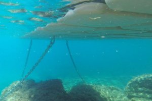 HEAVY TYPE SEA HOOK - 2