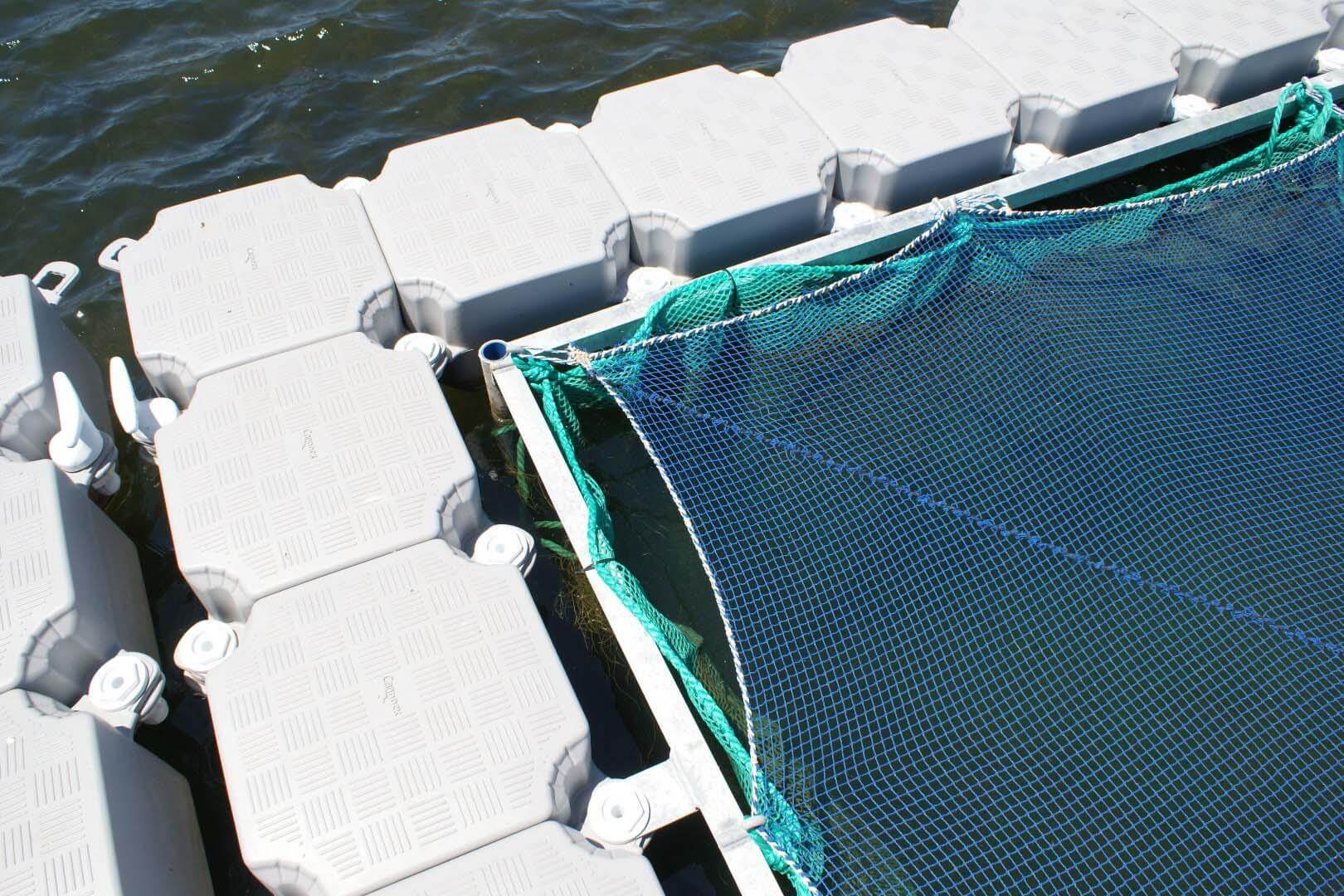 Aquaculture-floating docks - Aquaculture-floating docks - 3