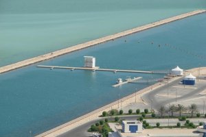 ΚΥΒΟΣ ΣΕΙΡΑΣ ΚΩΠΗΛΑΣΙΑΣ - 1